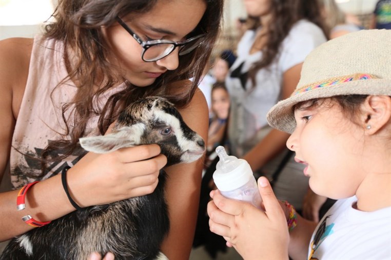 Dairy Khoury Farm Gates Opening